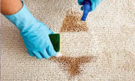 carpet stain removal thumb