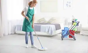 bedroom cleaning maids