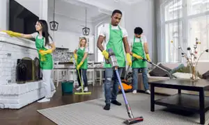 customized cleaning maids