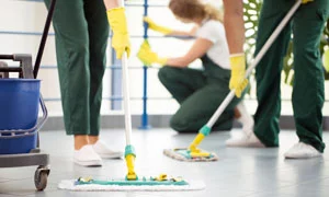 deep cleaning maids
