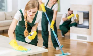 house cleaning maids