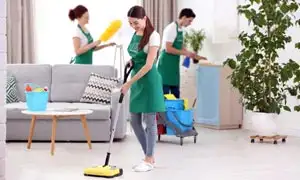 living room cleaning maids
