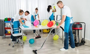party help maids