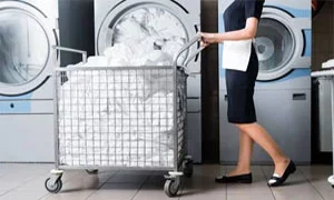 washing and ironing maids